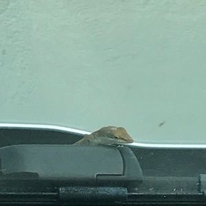 Meet your Posher, Christie